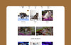 Numbat Pet Shop Theme - Ultimate WooCommerce WordPress Solution for Pet Shops - Waizmart